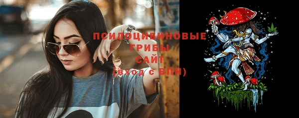 spice Армянск