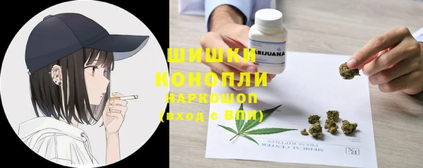 прущие крисы Арсеньев