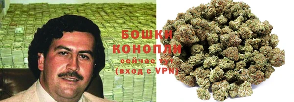 прущие крисы Арсеньев