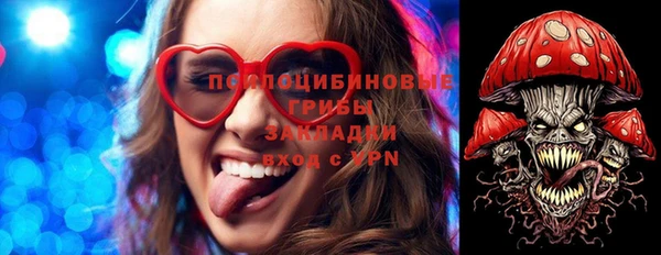 прущие крисы Арсеньев