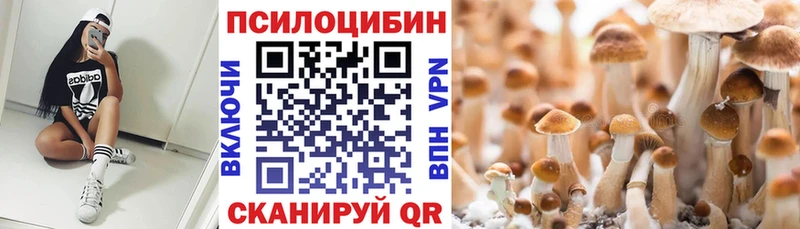 Псилоцибиновые грибы мицелий  хочу   Фролово 
