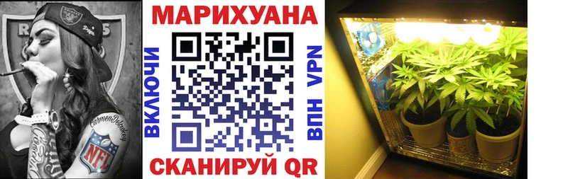 hydra вход Фролово Марихуана Bruce Banner